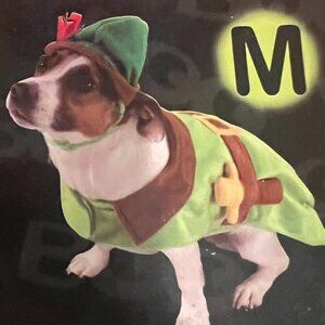 Disney Peter Pan  - Halloween Costume